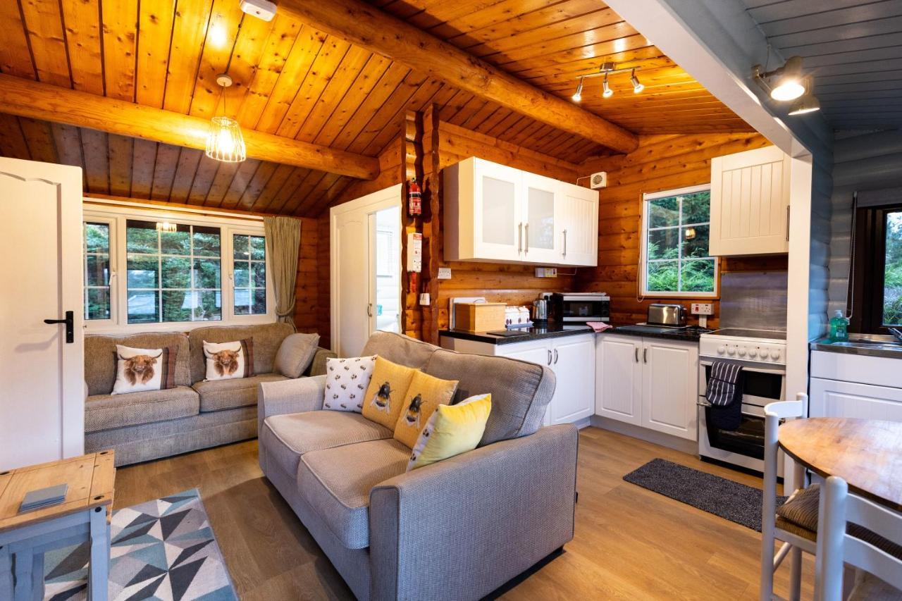 Mountain View Log Cabin In Snowdonia Nr Coed Y Brenin Tanygrisiau Exterior foto
